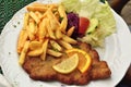 Schnitzel with french fries Royalty Free Stock Photo