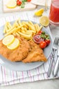 Schnitzel with french fries and a spicy dip Royalty Free Stock Photo