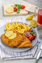 Schnitzel with french fries and a spicy dip Royalty Free Stock Photo