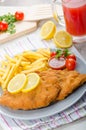 Schnitzel with french fries and a spicy dip Royalty Free Stock Photo