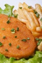 Schnitzel, fried potatoes sprinkled with green onions Royalty Free Stock Photo
