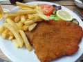 Schnitzel with Fries and Salad