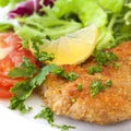 Schnitzel with Salad Royalty Free Stock Photo