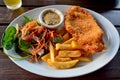Schnitzel with salad and french fries Royalty Free Stock Photo