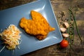 Chicken schnitzel top view Royalty Free Stock Photo
