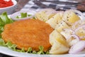 Schnitzel with young boiled potatoes and onion rings Royalty Free Stock Photo