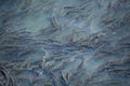 Schoal of fish at the top of the Douro river water Royalty Free Stock Photo
