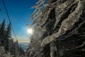 Schoeckl - First sunbeams shining through the branches at the top of snow covered peak of Schoeckl, Austrian Alps Royalty Free Stock Photo