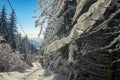 Schoeckl - First sunbeams shining through the branches at the top of snow covered peak of Schoeckl, Austrian Alps Royalty Free Stock Photo