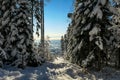 Schoeckl - First sunbeams shining through the branches at the top of snow covered peak of Schoeckl, Austrian Alps Royalty Free Stock Photo