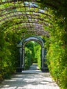 Schoenbrunn Garden Royalty Free Stock Photo