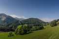 schoene gruene weide mit wald und berge