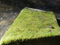 schoharie creek nature preserve and waterfalls