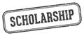 scholarship stamp. scholarship rectangular stamp on white background