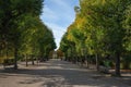 Schonbrunn Palace Gardens - Vienna, Austria Royalty Free Stock Photo