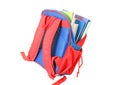 School bag Royalty Free Stock Photo