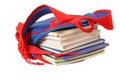 School bag with books Royalty Free Stock Photo