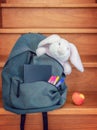 School bag with cuddly toy supplies and lunch Royalty Free Stock Photo