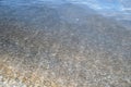 School Bait Fish in the Shallows, Conception Bay, Baja California< Mexico Royalty Free Stock Photo