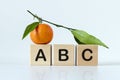 ABC letters of wooden blocks on white background Royalty Free Stock Photo