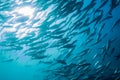 School of Bigeye Trevally (Caranx sexfasciatus) Royalty Free Stock Photo