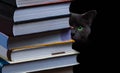 School books on desk, education concept, educate, technology, cat, splash