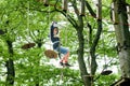 School boy in forest adventure park. Acitve child, kid in helmet climbs on high rope trail. Agility skills and climbing