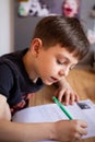 School boy making his homework