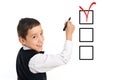 School boy wrighting checkboxes with pen Royalty Free Stock Photo