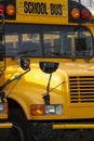 School Bus Royalty Free Stock Photo