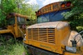 School bus cemetery