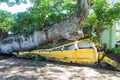 School Bus Crushed by Tree Royalty Free Stock Photo