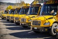School bus parked and standing in a row Royalty Free Stock Photo