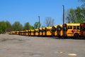 School bus roundup