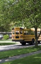 School Bus in route Royalty Free Stock Photo