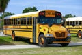 School Bus United States