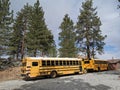 School bus yellow transport in usa