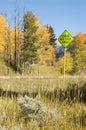 School Bus Zone Ahead Royalty Free Stock Photo