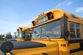 School Buses