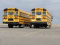 School Buses - 2 (back-end view)