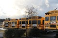 School buses from the back Royalty Free Stock Photo