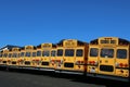 School buses lined up.