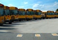 School Buses Parked