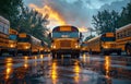School buses parked in lot at sunset Royalty Free Stock Photo