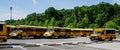 School buses parked in a parking lot at White Plains, NY