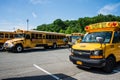 School buses parked in a parking lot at White Plains, NY 5