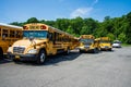 School buses parked in a parking lot at White Plains, NY 3