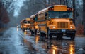 School buses parked on the road in the rain Royalty Free Stock Photo