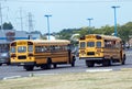 School buses in parking lot