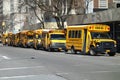 School Buses